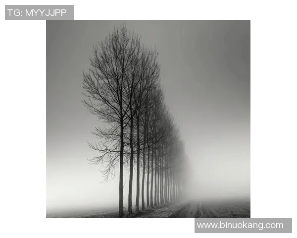 亚当斯的传奇人生与时代变迁的深刻影响探索 亚当斯的传奇人生与时代变迁的深刻影响探索