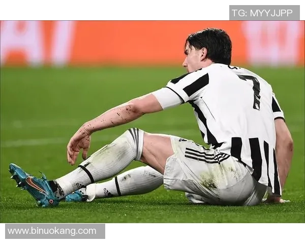 弗拉霍维奇：从新星崛起到足坛巨星的精彩旅程与未来展望