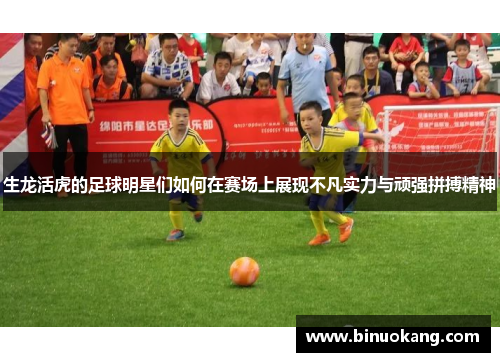生龙活虎的足球明星们如何在赛场上展现不凡实力与顽强拼搏精神