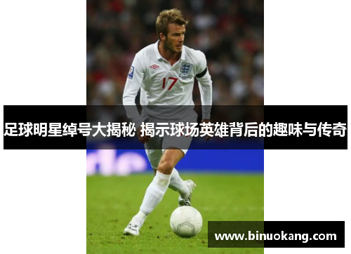 足球明星绰号大揭秘 揭示球场英雄背后的趣味与传奇