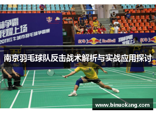 南京羽毛球队反击战术解析与实战应用探讨