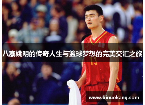 八寨姚明的传奇人生与篮球梦想的完美交汇之旅