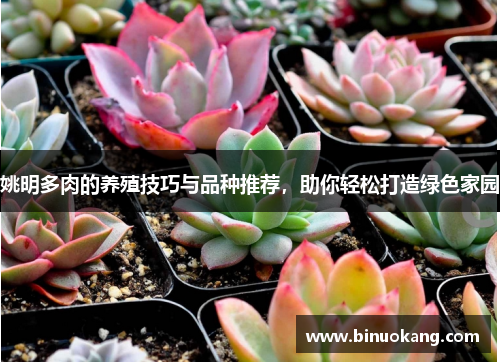 姚明多肉的养殖技巧与品种推荐，助你轻松打造绿色家园