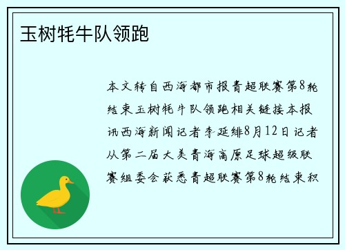 玉树牦牛队领跑